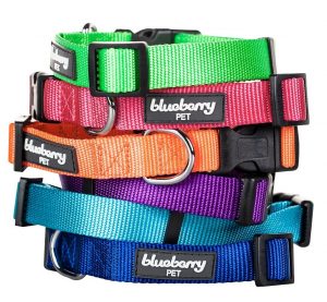 4. Blueberry Pet Dog Collar