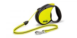 Top 10 Best Dog Leashes in 2021