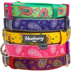 8. Blueberry Pet Collars For Dogs Vintage Paisley Flower