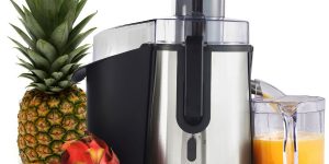 Top 10 Best Juicers in 2024