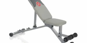 Top 10 Best Adjustable Weight Benches in 2024