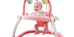 Fisher-Price, Floral Confetti SpaceSaver Jumperoo