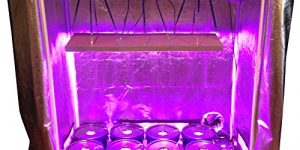 Abbaponics, 8 Site Hydroponic System Grow Room